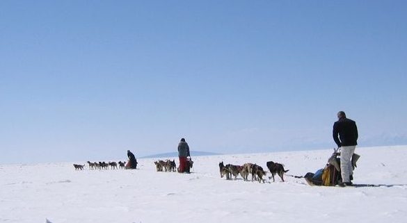 mongolie-plus-agence-locale-3