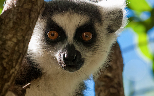 detours-madagascar-1