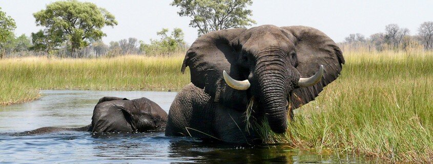 AFRICA-COEUR-SAFARIS-photo11