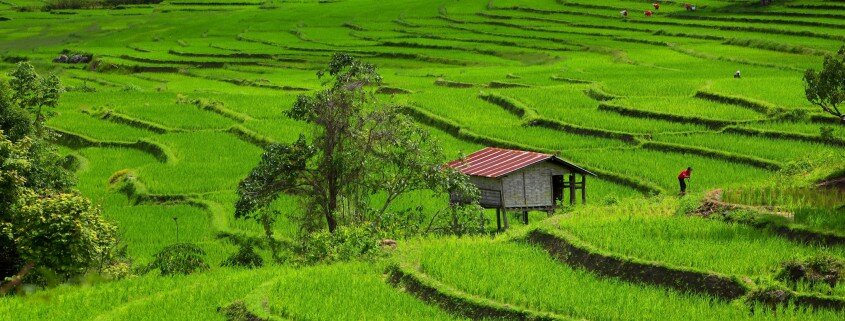 chiangmai-vacation-photo1