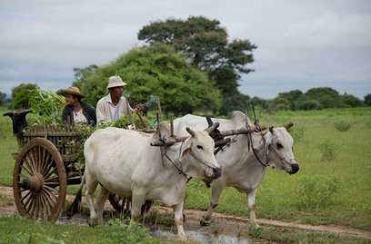 Manipura-travel-tours-photo2