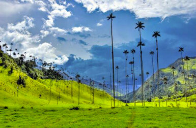 COLOMBIA-SPIRIT-photo4