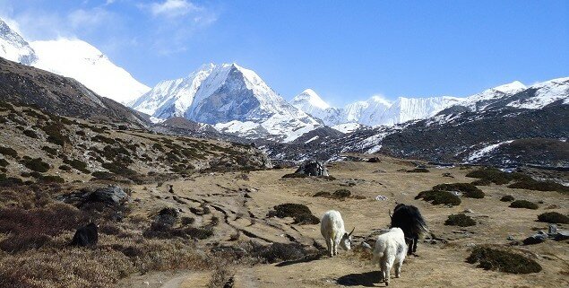 ©nepalauthentictrek.photo4