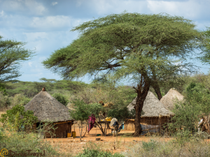 Village Hamer