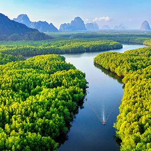 vignet_thailande5 vignet_thailande5